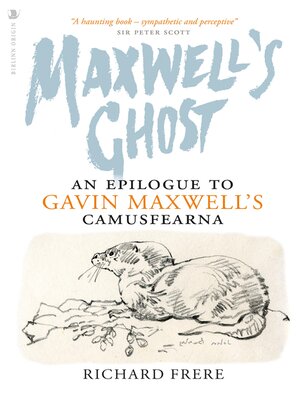 cover image of Maxwell's Ghost